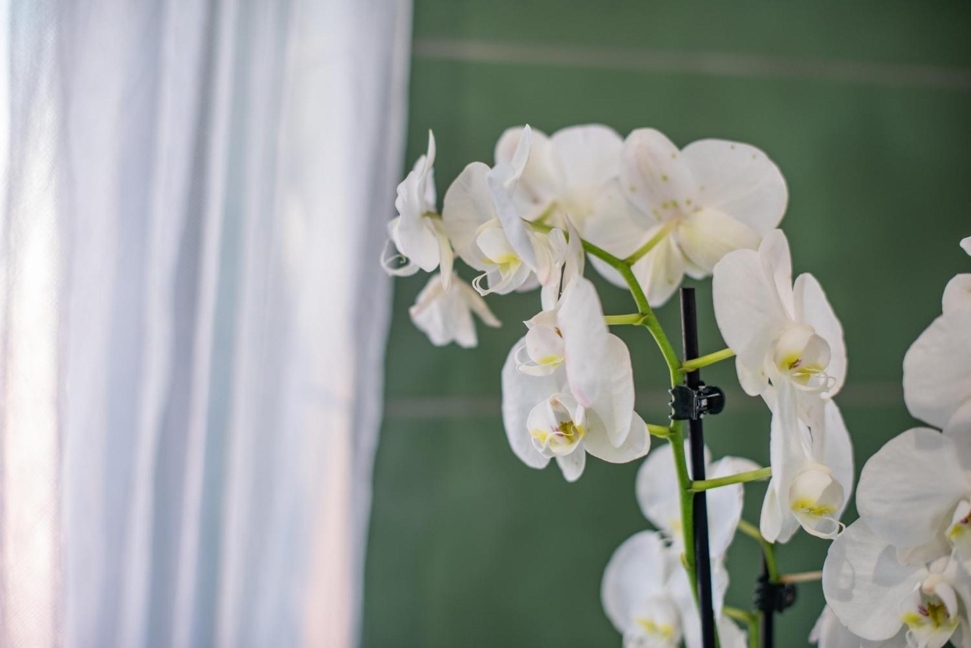 Apartment Paxos Fairytales House 2